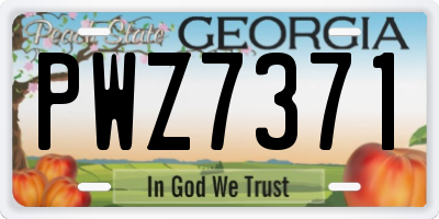 GA license plate PWZ7371