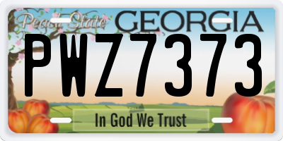 GA license plate PWZ7373