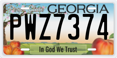 GA license plate PWZ7374