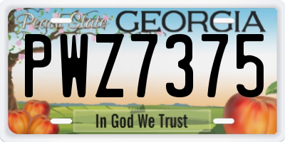 GA license plate PWZ7375