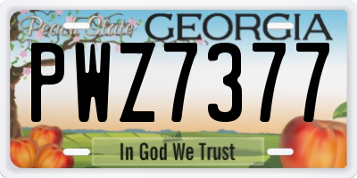 GA license plate PWZ7377