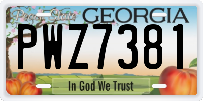 GA license plate PWZ7381