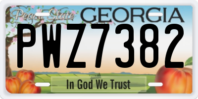 GA license plate PWZ7382