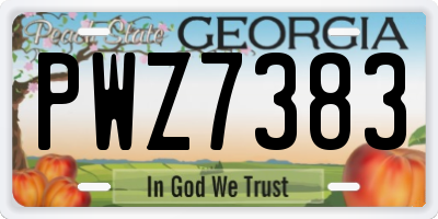 GA license plate PWZ7383