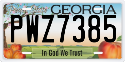 GA license plate PWZ7385