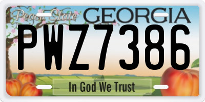 GA license plate PWZ7386