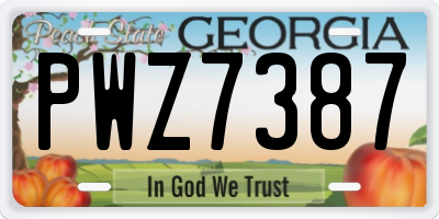 GA license plate PWZ7387