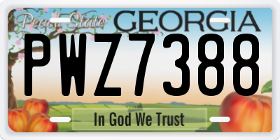 GA license plate PWZ7388