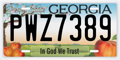 GA license plate PWZ7389