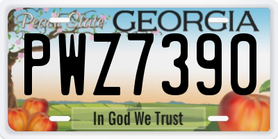 GA license plate PWZ7390