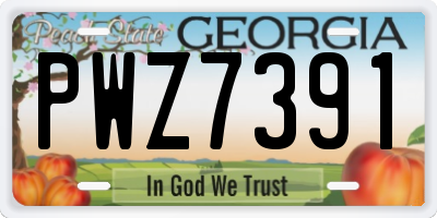 GA license plate PWZ7391