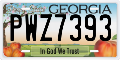 GA license plate PWZ7393