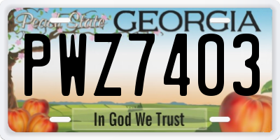 GA license plate PWZ7403