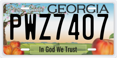 GA license plate PWZ7407