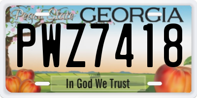 GA license plate PWZ7418