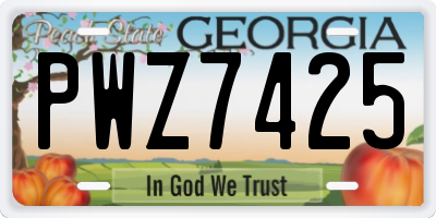 GA license plate PWZ7425