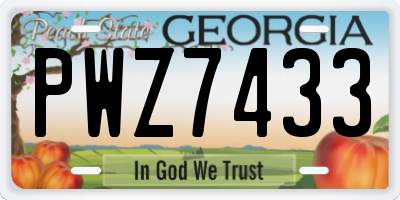 GA license plate PWZ7433