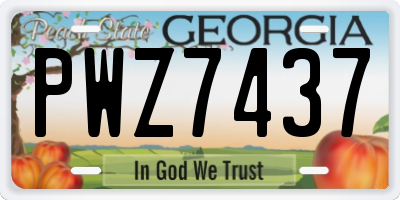 GA license plate PWZ7437