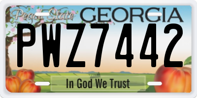 GA license plate PWZ7442