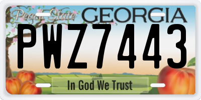GA license plate PWZ7443