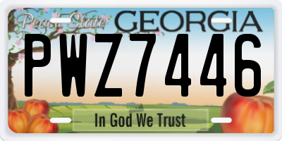 GA license plate PWZ7446