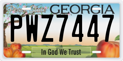 GA license plate PWZ7447