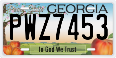 GA license plate PWZ7453