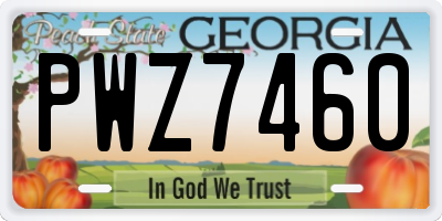 GA license plate PWZ7460