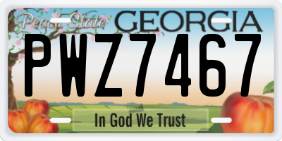 GA license plate PWZ7467