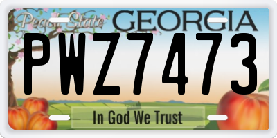 GA license plate PWZ7473
