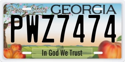 GA license plate PWZ7474