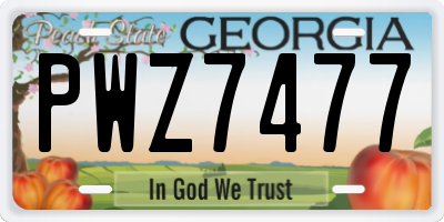 GA license plate PWZ7477