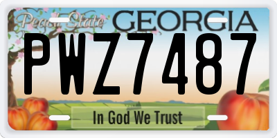 GA license plate PWZ7487