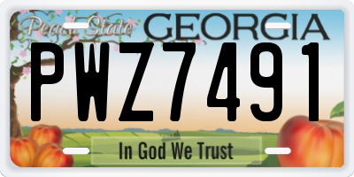 GA license plate PWZ7491