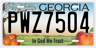 GA license plate PWZ7504