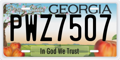GA license plate PWZ7507