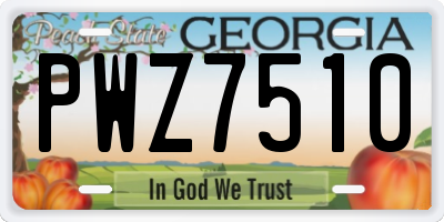 GA license plate PWZ7510