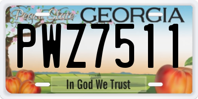 GA license plate PWZ7511