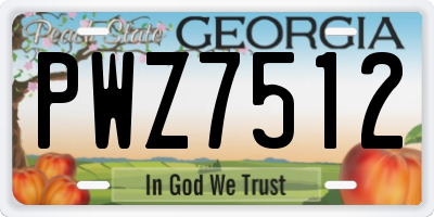 GA license plate PWZ7512