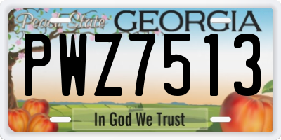GA license plate PWZ7513