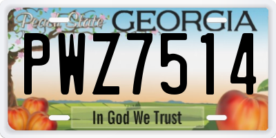 GA license plate PWZ7514