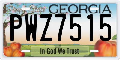 GA license plate PWZ7515