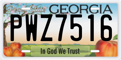 GA license plate PWZ7516