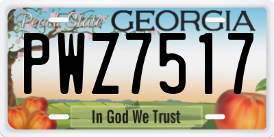 GA license plate PWZ7517