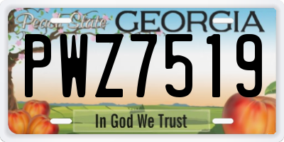 GA license plate PWZ7519