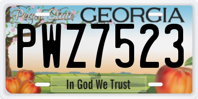 GA license plate PWZ7523