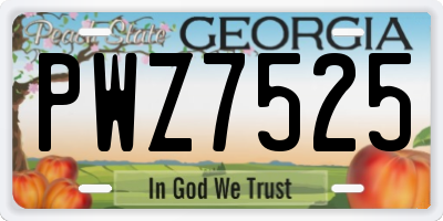 GA license plate PWZ7525