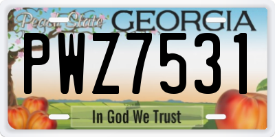 GA license plate PWZ7531