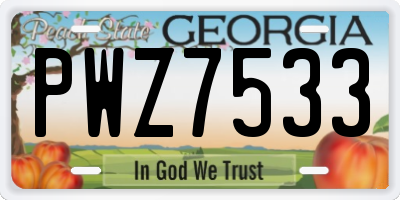 GA license plate PWZ7533