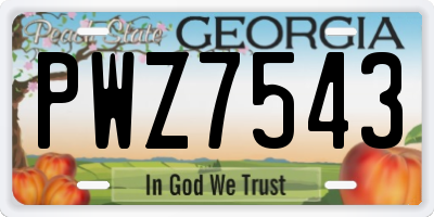 GA license plate PWZ7543